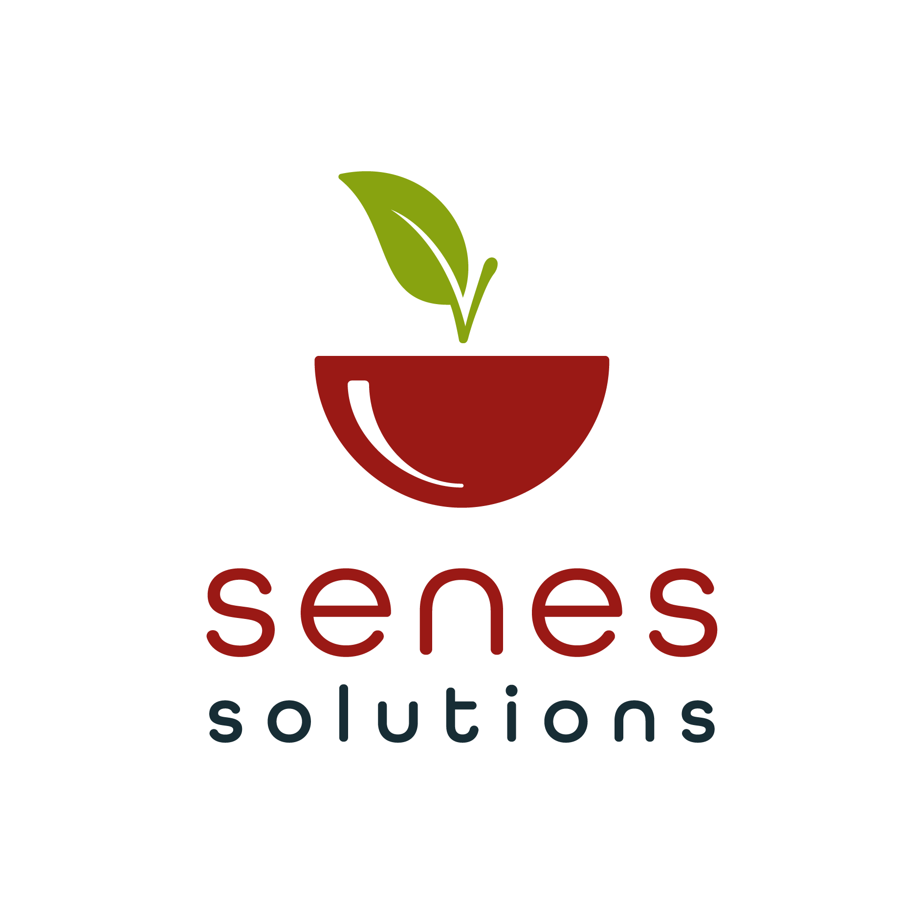 logo senes